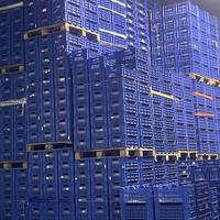 Casse in plastica rigida