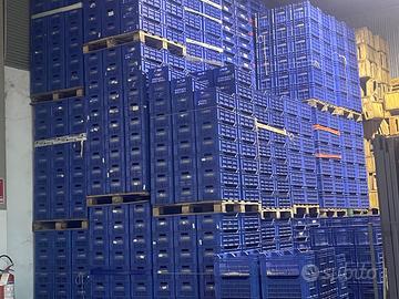 Casse in plastica rigida