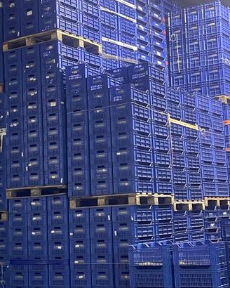 Casse in plastica rigida