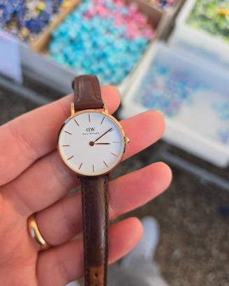 orologio donna Daniel Wellington 