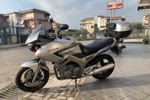 Yamaha TDM 900 - 2003