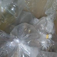 Pesci e piante per acquari laghi e laghetti