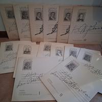 Raccolta vinili classica 