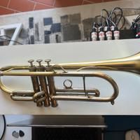 G&P Flora Special Edition F. Bosso