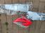 Immagine 5