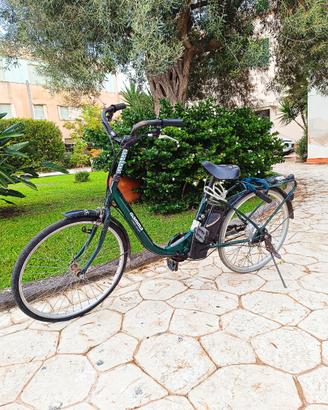 Bici elettrica