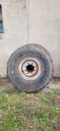 Ruote 14.00 R 20 per carri agricoli e botti