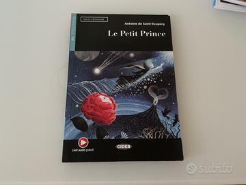 Libro le petit prince