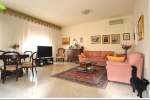 Quadri locale Vigevano - Zona Viale dei Mille