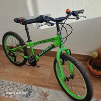 bici atala 20