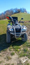 quad a benzina