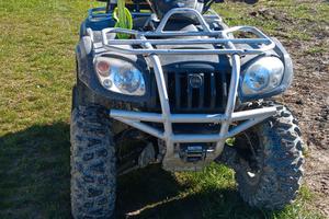 quad a benzina