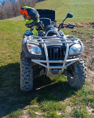 quad a benzina