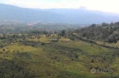 Terreno agricolo