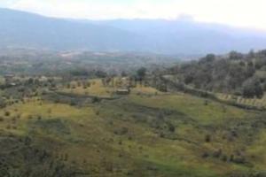 Terreno agricolo