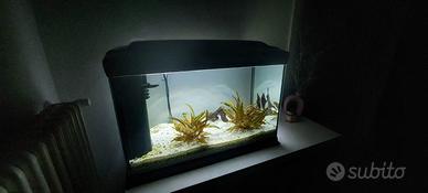 Acquario Ferplast Cayman 60 PR