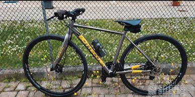 Bottecchia gravel monster 