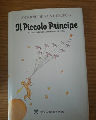 Libro Il Piccolo Principe