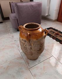 Capasa salentina