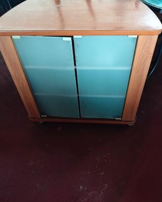 mobile tv