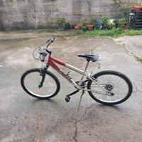 bici MTB