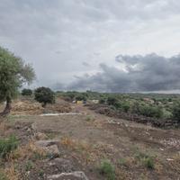 Rif.AL279| terreno agricolo belpasso