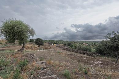 Rif.AL279| terreno agricolo belpasso