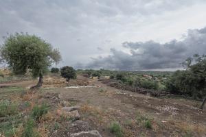 Rif.AL279| terreno agricolo belpasso