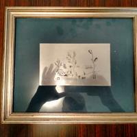 Serigrafia Oslec Pirac