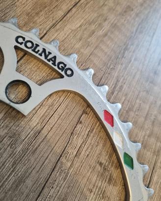 campagnolo super record 53 denti leve freni  pant
