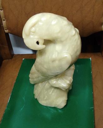 pappagallo in alabastro 