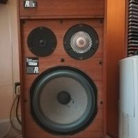 Casse acustiche AR 10 pigreco 