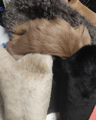 Shearling- Pelli x Arredamento-Abbigliamento ecc..
