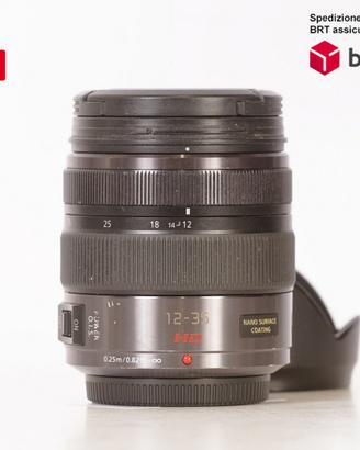 Panasonic Lumix G X 12-35 F2.8 OIS (Panasonic)