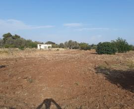 Si cede terreno agricolo - mesagne (br)