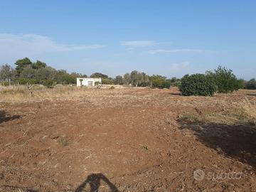 Si cede terreno agricolo - mesagne (br)