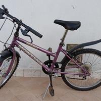 Mountain bike raggio 20