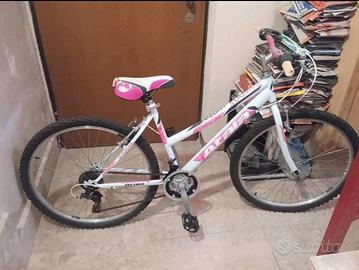 Bicicletta mountain-bike 24