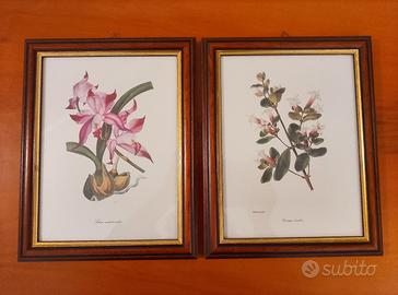 Due quadretti con stampe artistiche 