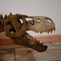 T Rex scheletro fossile 