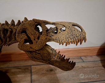 T Rex scheletro fossile 
