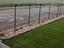 Immagine 6