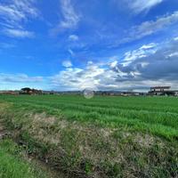 TER. AGRICOLO A SAN GIOVANNI IN MARIGNANO