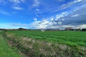 TER. AGRICOLO A SAN GIOVANNI IN MARIGNANO