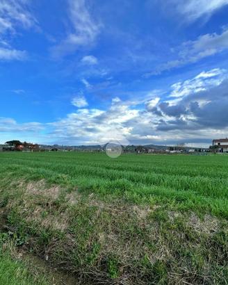 TER. AGRICOLO A SAN GIOVANNI IN MARIGNANO