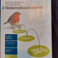 Testo Matematica Ipsia