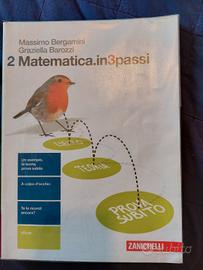 Testo Matematica Ipsia