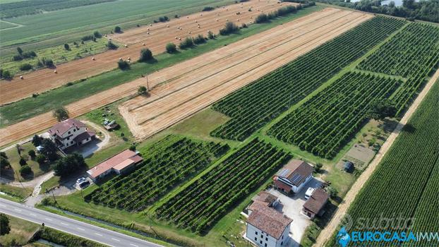 TERRENO CON VIGNETO E FABBRICATO