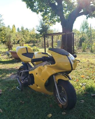 mini moto 50