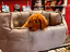 Immagine 25